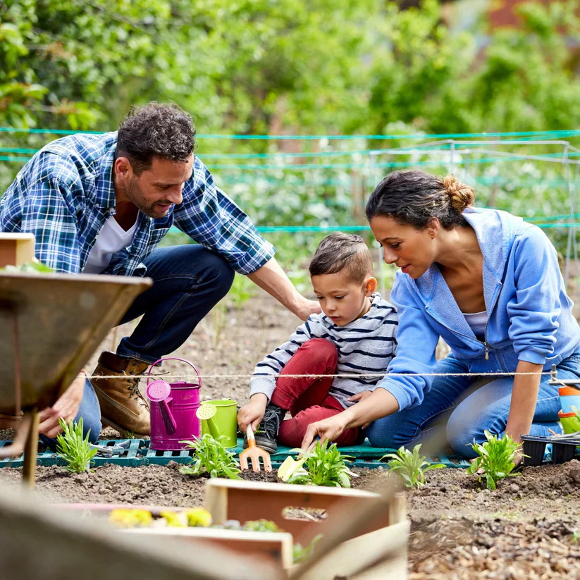 Designsanstitre_61-1